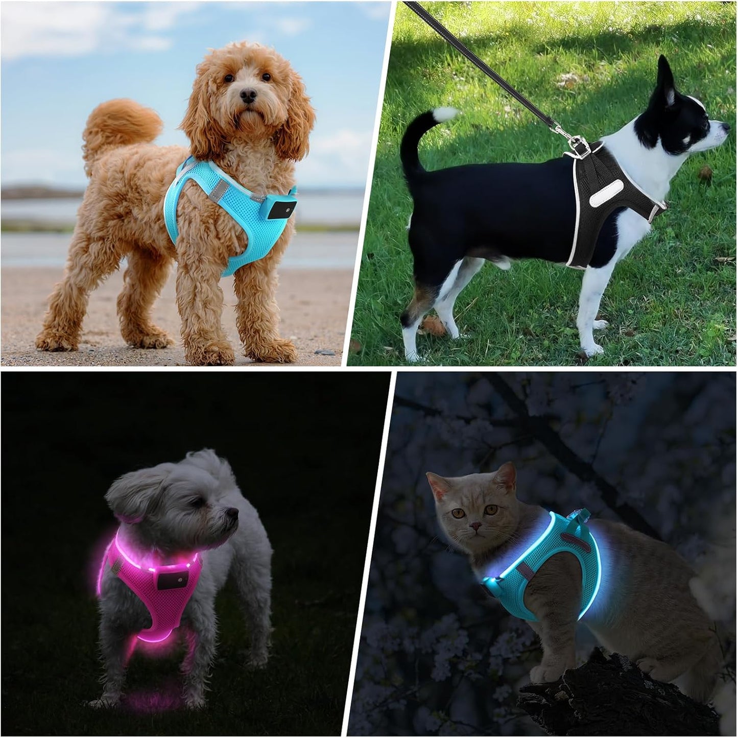 Light up Dog Harness, for Night Walking, Adjustable, Blue, M | USB Rechargeable, Soft and Comfortable Material, Adjustable, for Puppy, Small and Medium Dogs, 3 Light Modes