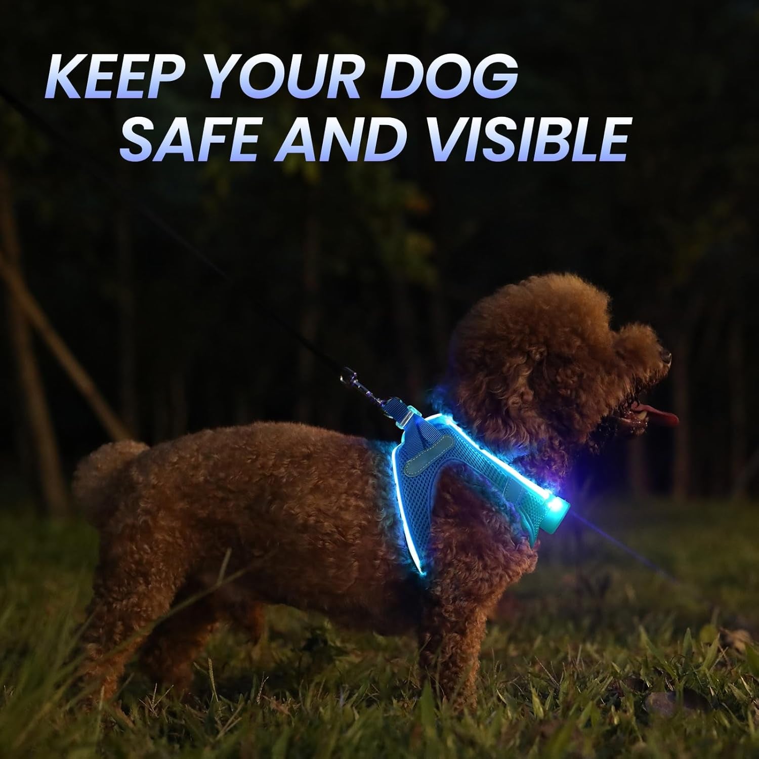Light up Dog Harness, for Night Walking, Adjustable, Blue, M | USB Rechargeable, Soft and Comfortable Material, Adjustable, for Puppy, Small and Medium Dogs, 3 Light Modes