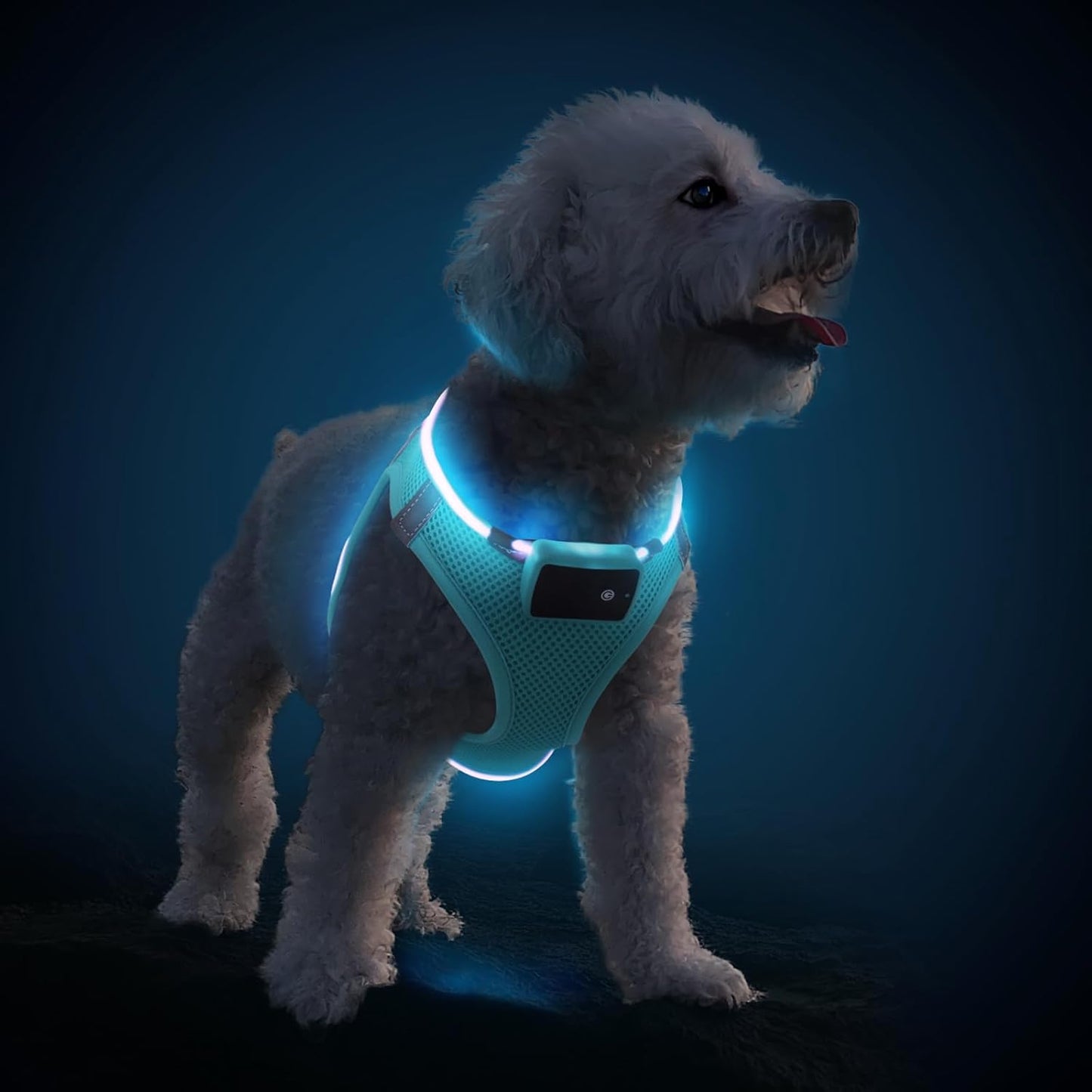 Light up Dog Harness, for Night Walking, Adjustable, Blue, M | USB Rechargeable, Soft and Comfortable Material, Adjustable, for Puppy, Small and Medium Dogs, 3 Light Modes